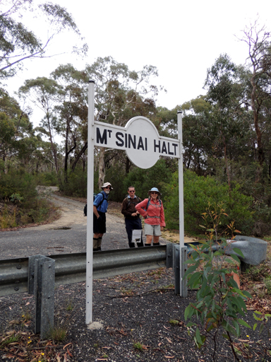  - Mount Sinai Halt